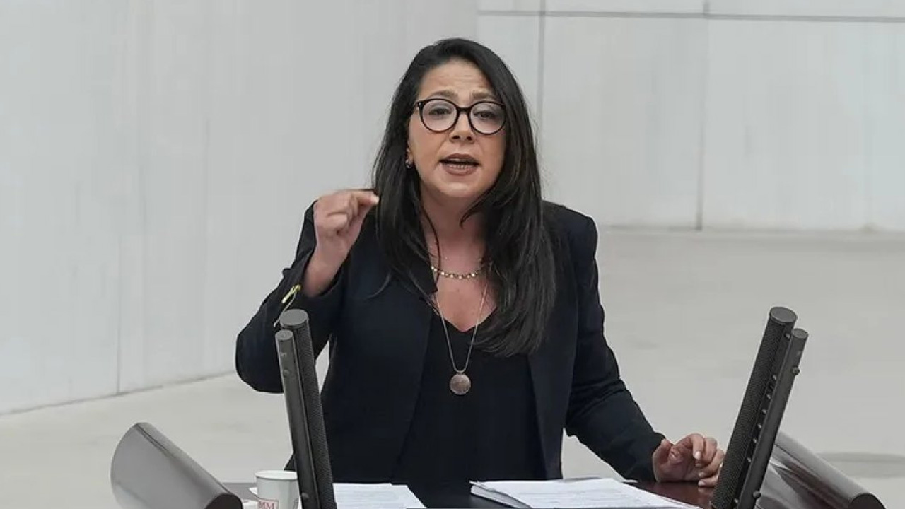 Sera Kadıgil'den AK Parti Sözcüsü Ömer Çelik'e yanıt: Faşistler ancak