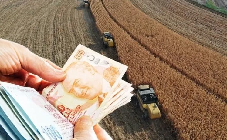 Tarım ve Orman Bakanlığı duyurdu! Çiftçilerin hesabına bugün yatacak