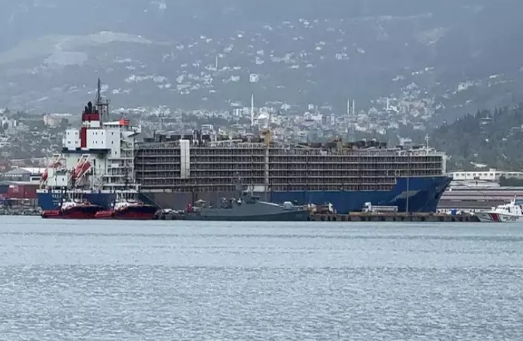 Kurban Bayramı için 27 bin tane ‘angus’ cinsi sığır ithal edildi