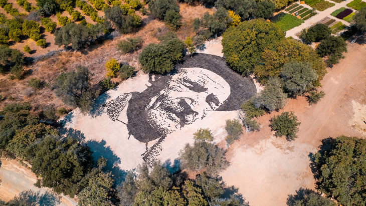 Aşık Veysel topraktan yapılan dev portre ile anıldı