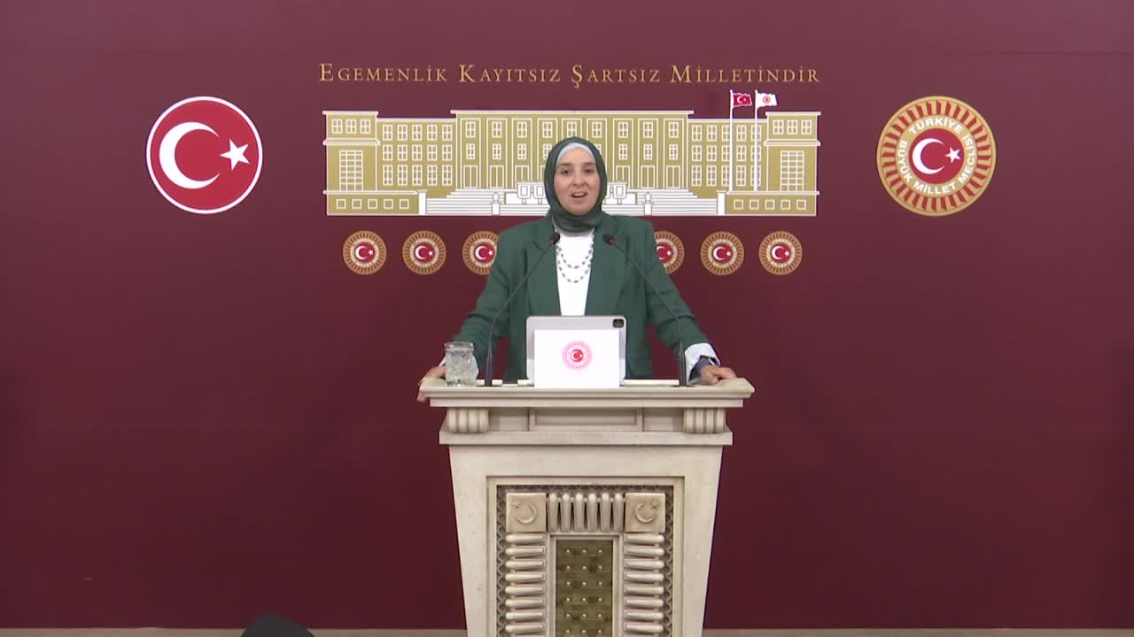DEVA Partisi Genel Başkan Yardımcısı Elif Esen: Meclis'in bu yaz tatil yapma lüksü yoktu