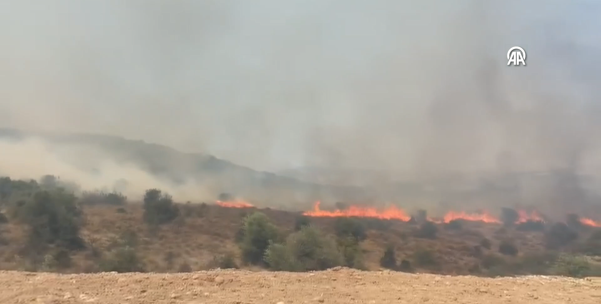 İzmir'in Aliağa ilçesinde yangın çıktı
