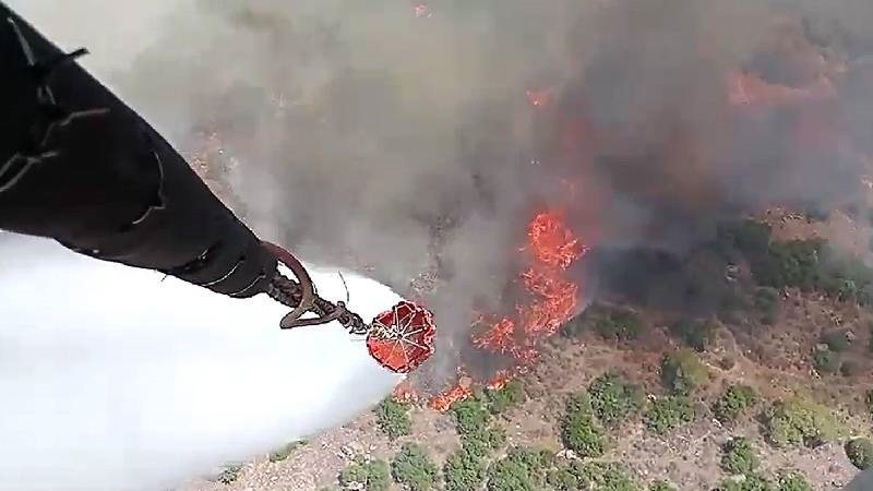 Manisa'da korkutan orman yangını