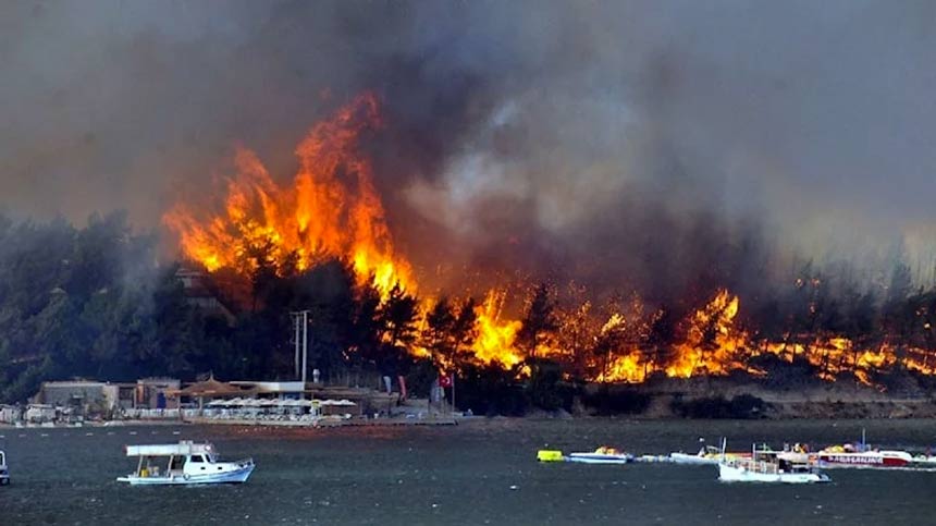 Bodrum’daki orman yangının faili  100 bin TL'ye yakmış!