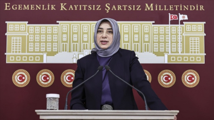 CHP’den Özlem Zengin’e destek: Erdoğan'ın önceliği koltuğunu korumak