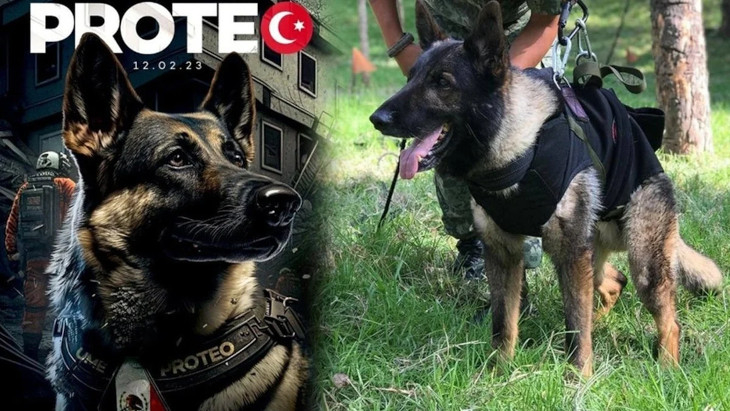 Proteo'nun heykeli dikilecek: Kurtarma çalışmalarında yaşamını yitirmişti