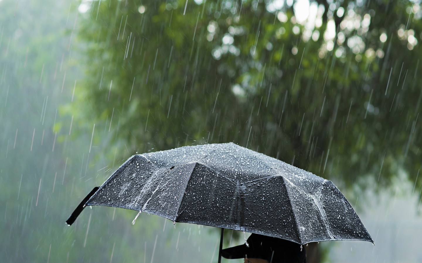 Meteorolojiden uyarı geldi: O şehirlere sağanak geliyor