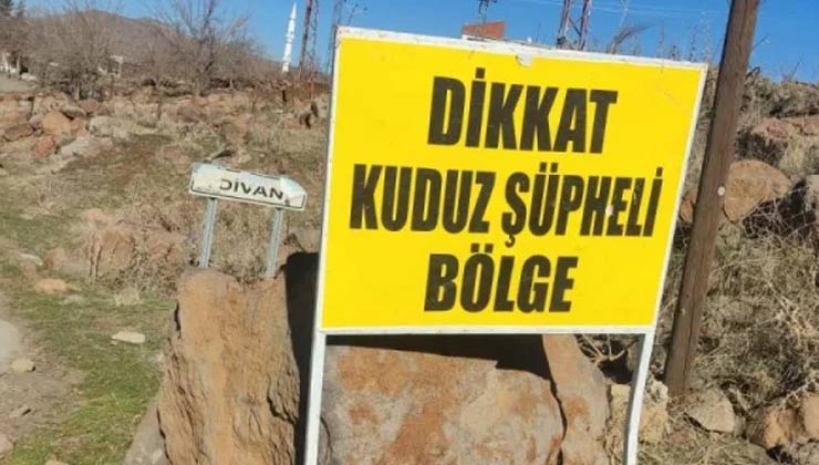 Şanlıurfa’da Kuduz Alarmı: Köy Karantinaya Alındı!