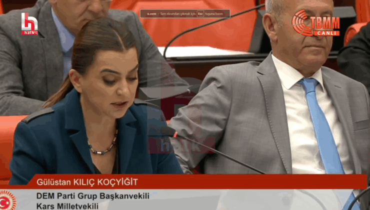TBMM’de Kürtçe gerginliği: DEM Parti’li vekil konuşmasından sonra Kürtçe konuştu, mikrofonu kapatıldı